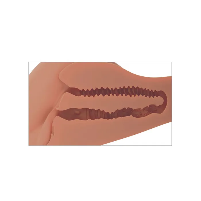 Male Sex Toys | Pipedream PDX PLUS 360 Banger - Tan-(rd619-22) Male Sex Toys | Pipedream PDX PLUS 360 Banger - Tan-(rd619-22)