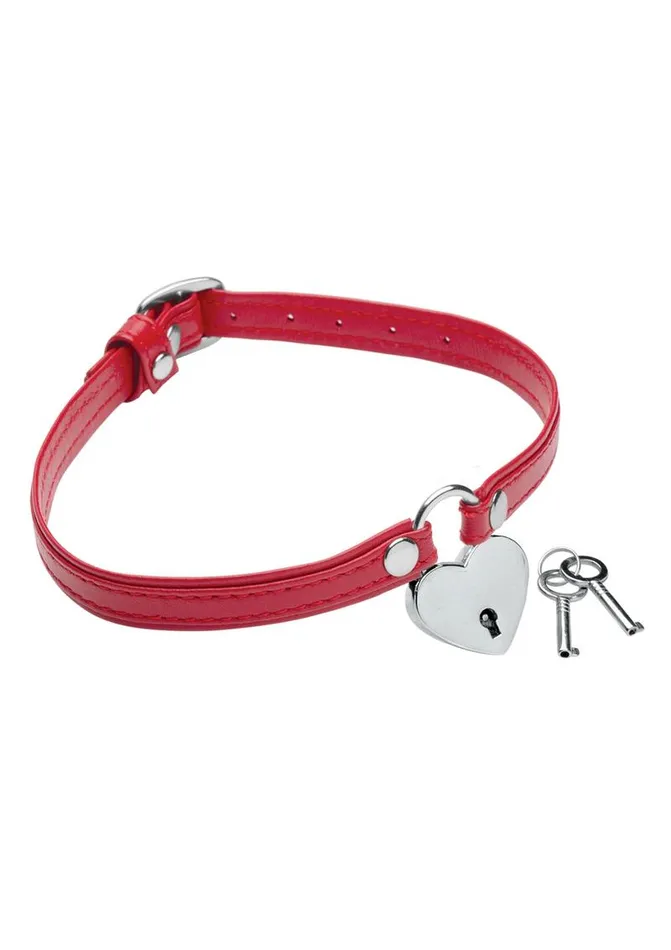 Master Series Female Sex Toys Master Series Heart Lock Choker with Keys